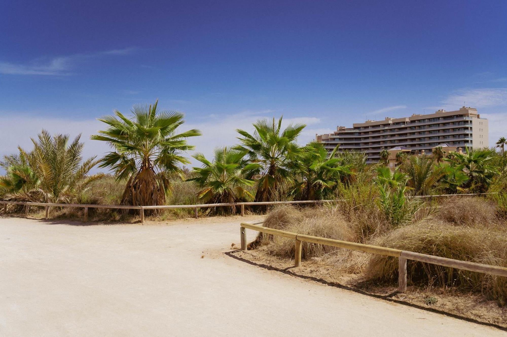 Los Flamencos - Playa Paraiso - Calle Bomilcar Cartagena Dış mekan fotoğraf